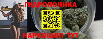 стафф Волгодонск