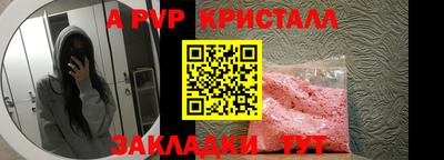 стафф Волгодонск