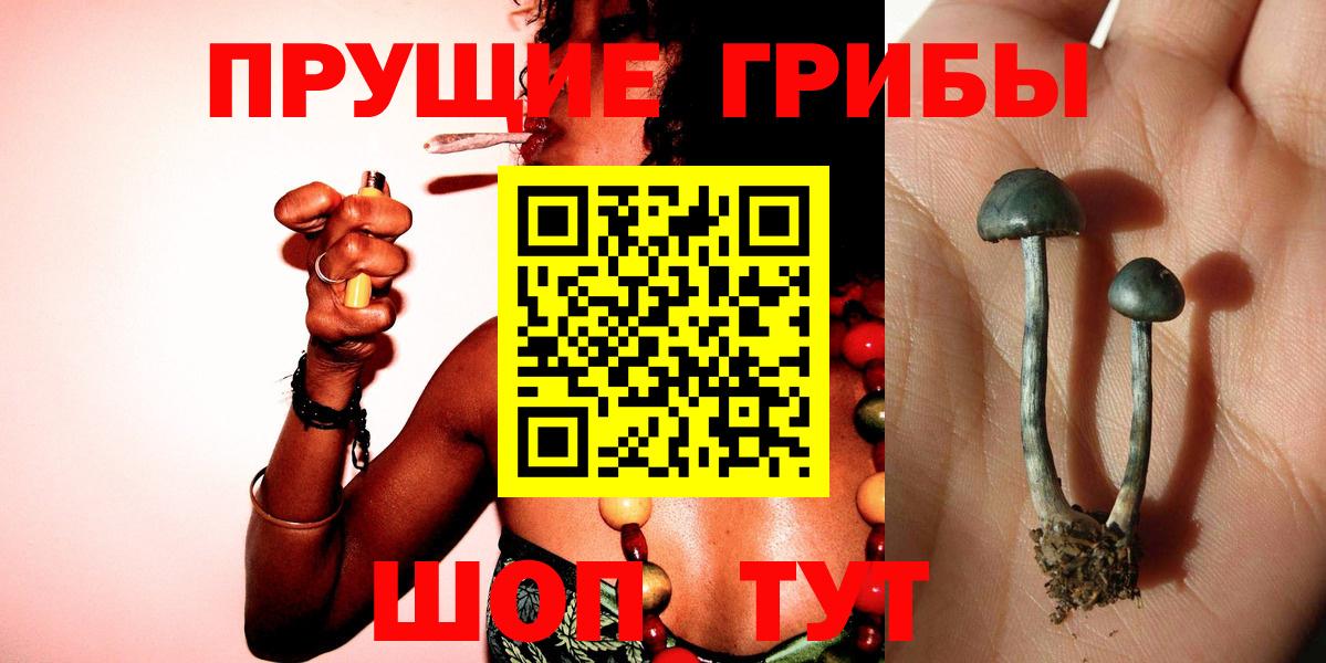Псилоцибиновые грибы MAGIC MUSHROOMS  Вход с VPN  где найти наркотики  Ногинск  Псилоцибиновые грибы мицелий 