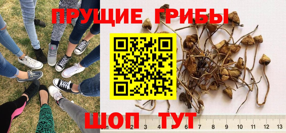 Галлюциногенные грибы мухоморы Ногинск